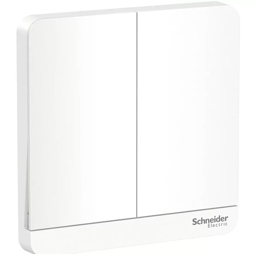 施耐德 奐尚 16AX 兩位單控開關掣連LED指示燈 E8332L1LED_WG_C5