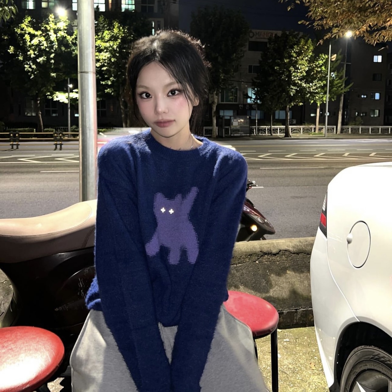 🇰🇷訂購｜AEAE｜Flashed Cats Angora Knit | AnyNOID