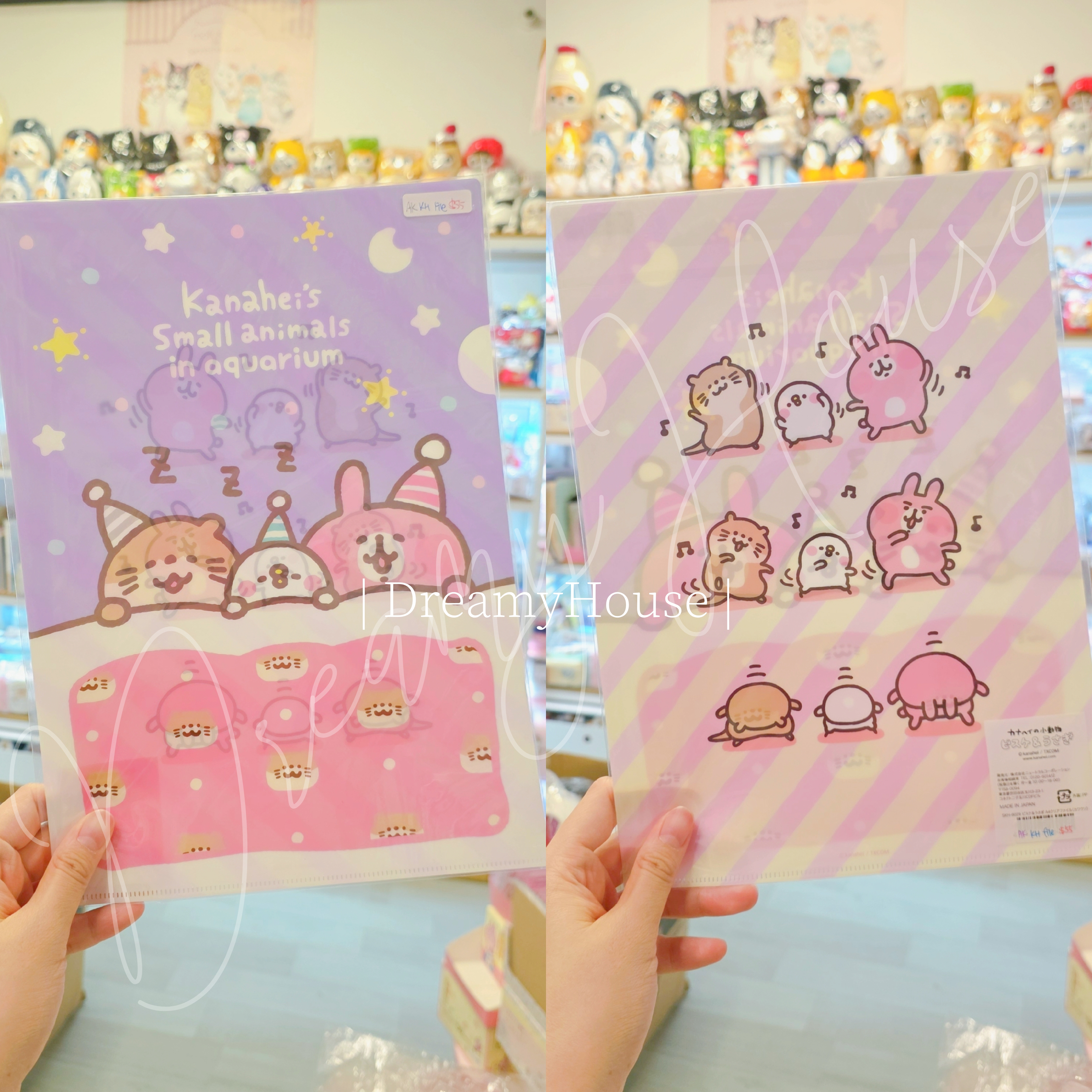日本 kanahei 水族館限定 A4 File