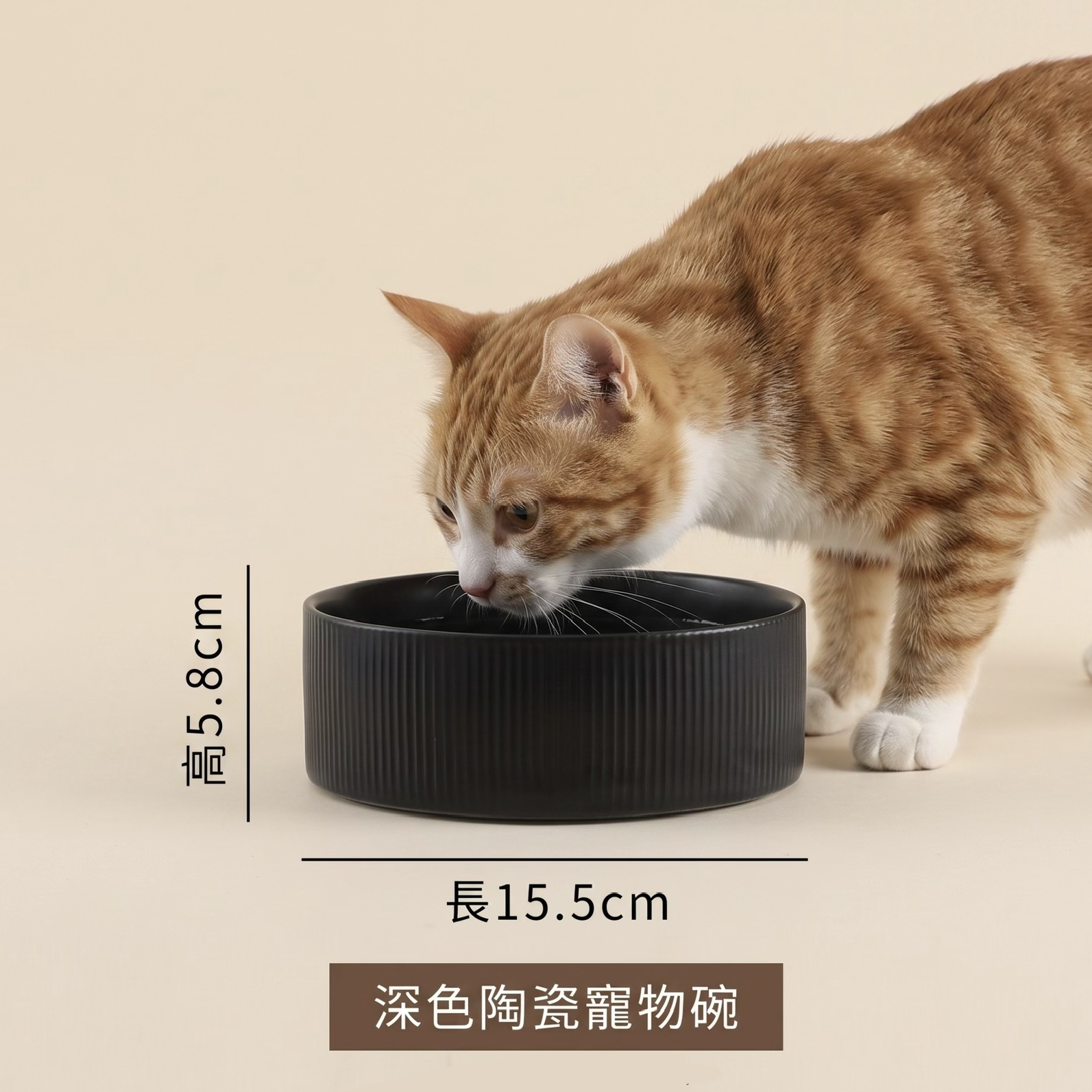 【今期義賣！】深色陶瓷寵物碗