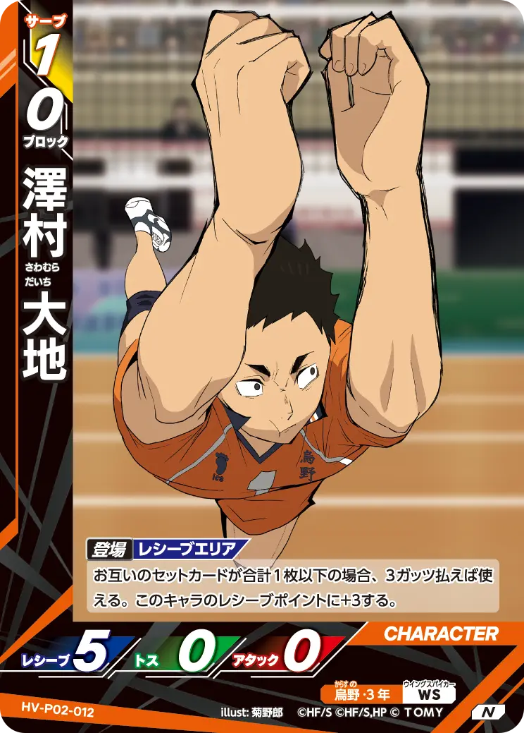 澤村 大地さわむら だいち HV-P02-012