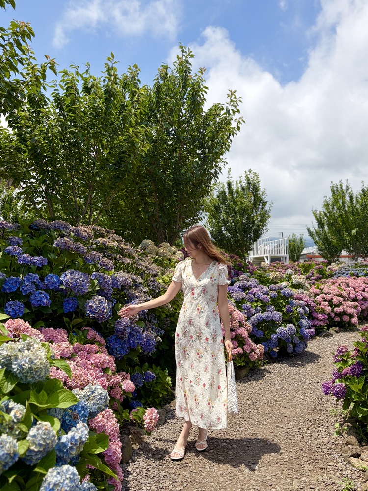 Premium Embroidered Floral Dress