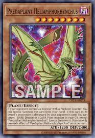 CR11-AES12 (SER)Predaplant Heliamphorhynchus(捕食植物 太陽瓶子草喙嘴龍)