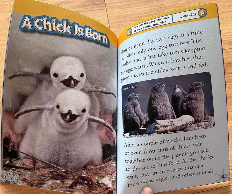 National Geographic Kids Level 2 國家地理分級讀物 第二季 L2 兒童百科書｜25 books｜點讀版