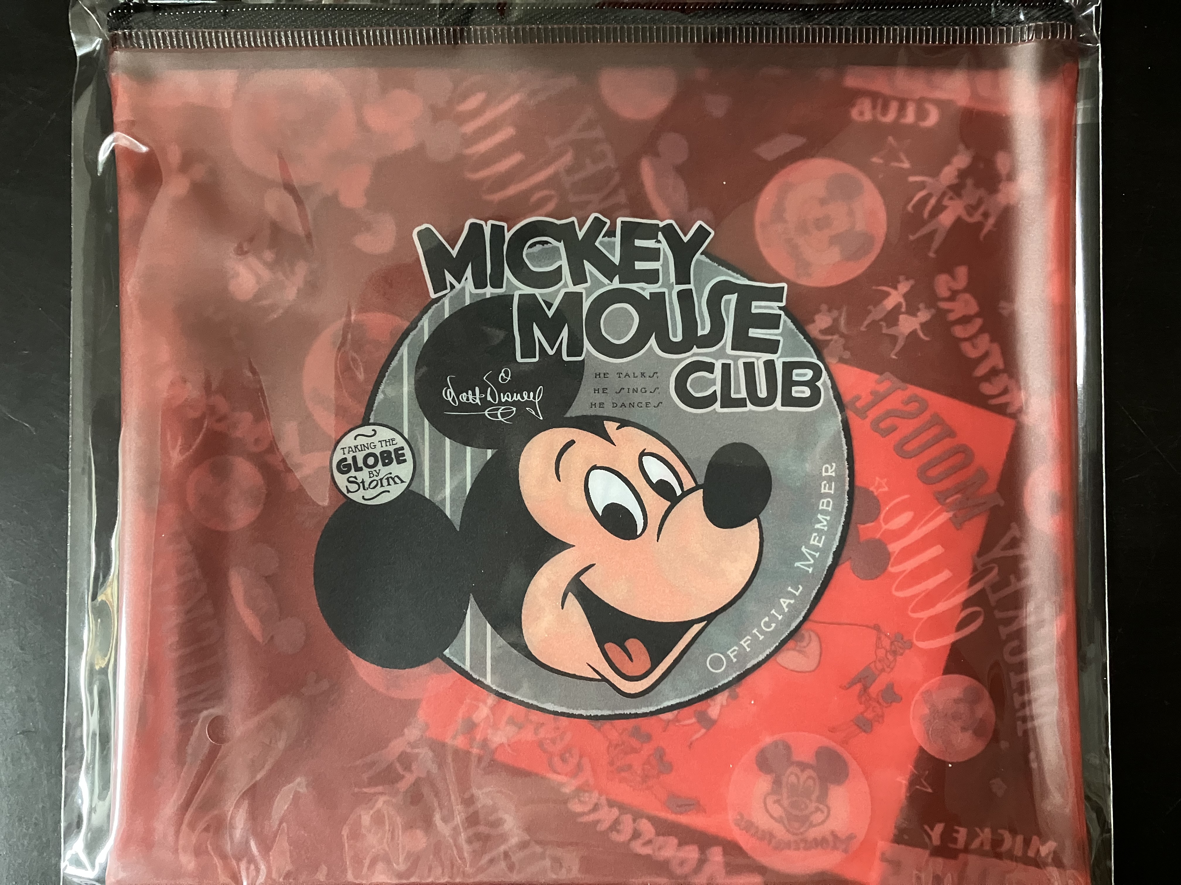 一番賞迪士尼100周年 DISNEY104_E 平口袋 (E 款) FG0076