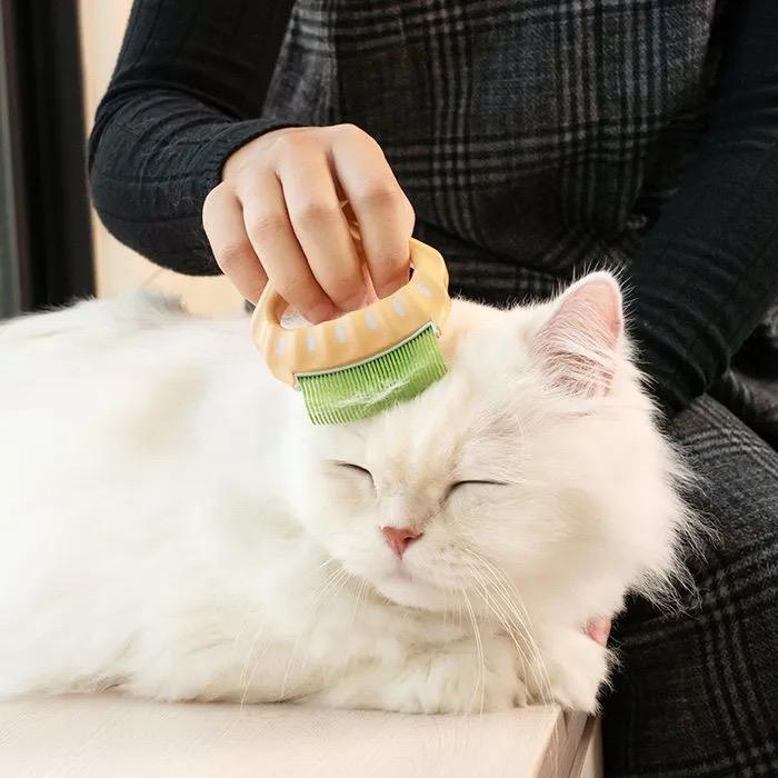 日本 Philocomb 寵物貝殼梳