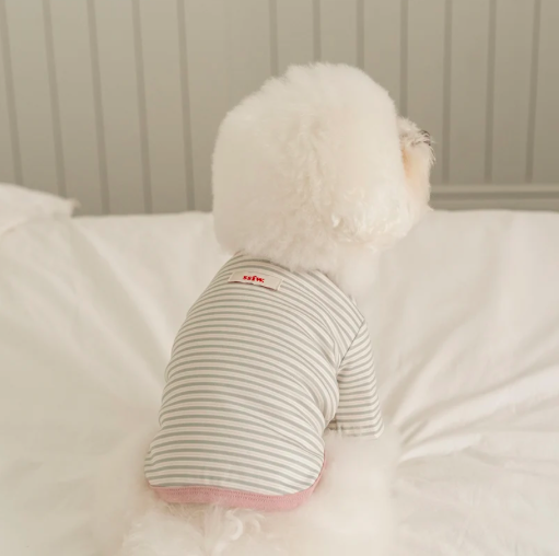 Bite Me🇰🇷SSFW Mellow Stripe T-Shirt 柔和條紋四季打底衫 (3色)