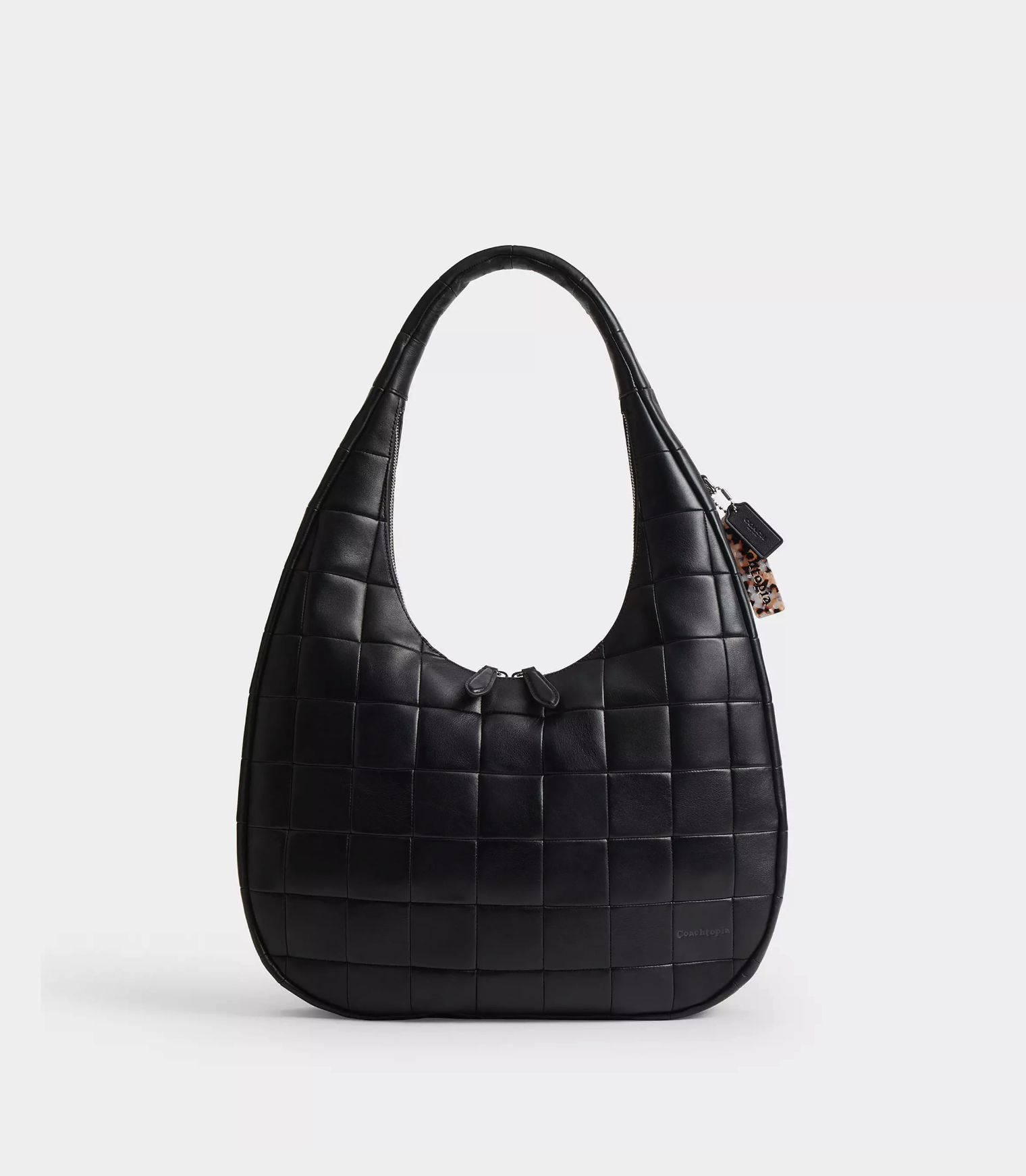 COACH Alter/Ego Crescent Shoulder Bag