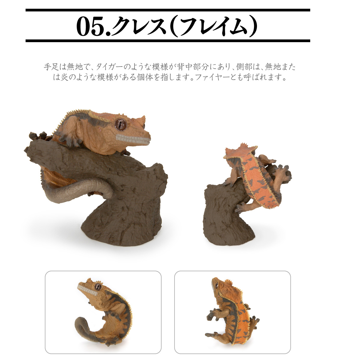 🌐代理版 生物大圖鑑 手指 豹紋壁虎 鳳頭壁虎 扭蛋 睫角守宮 火焰