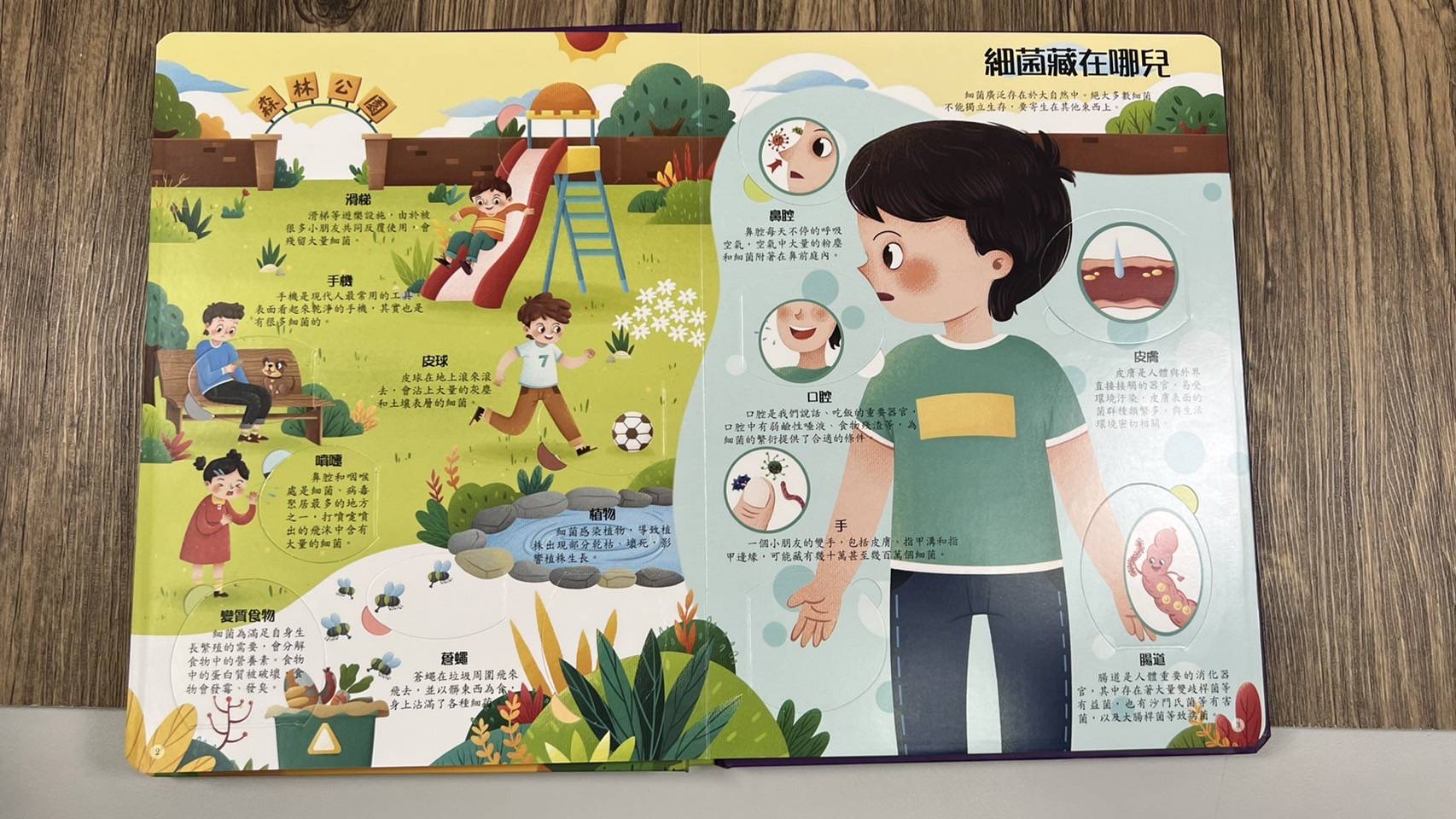 南門 揭祕翻翻書9本