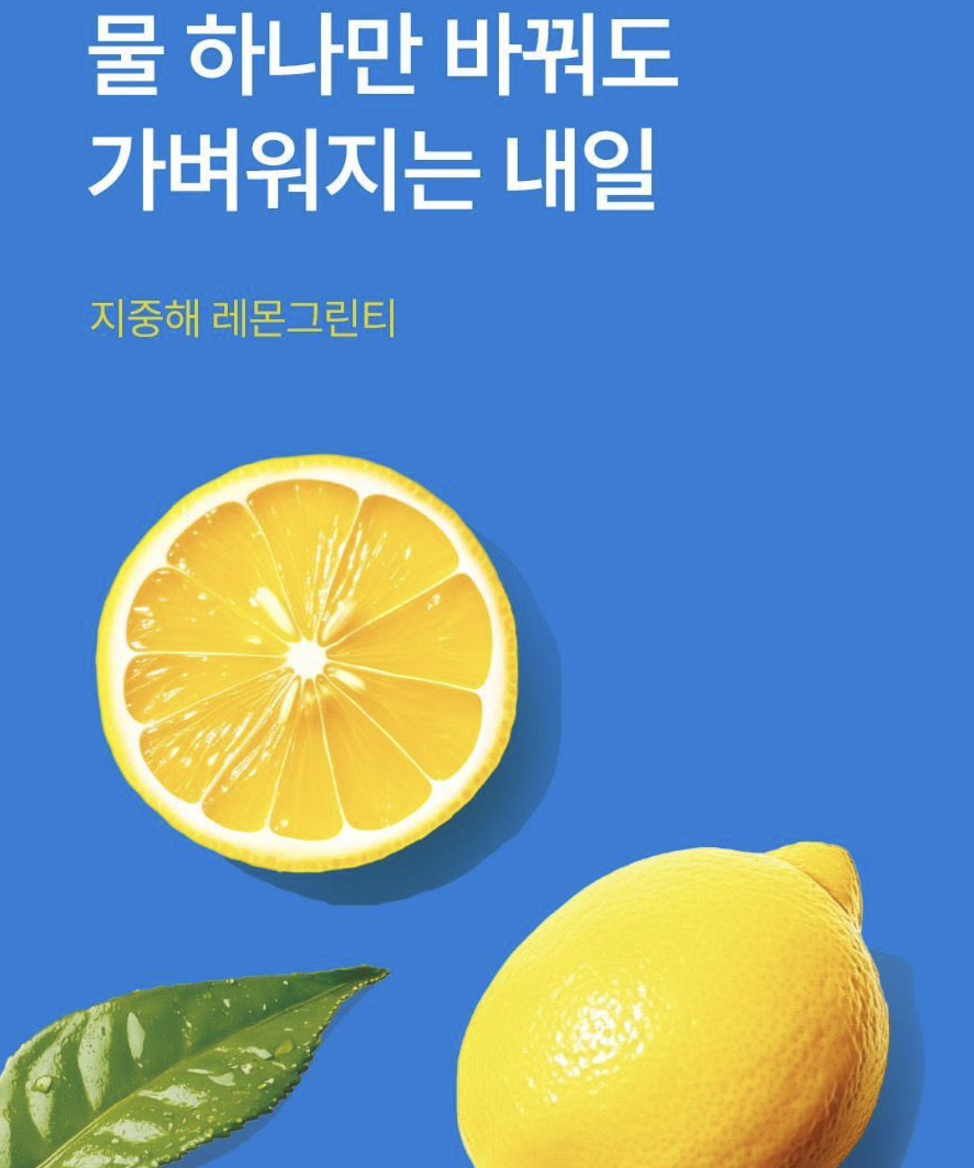 韓國 Foodology 地中海 輕盈檸檬綠茶 15條/ 盒｜Mediterranean Lemon Green Tea