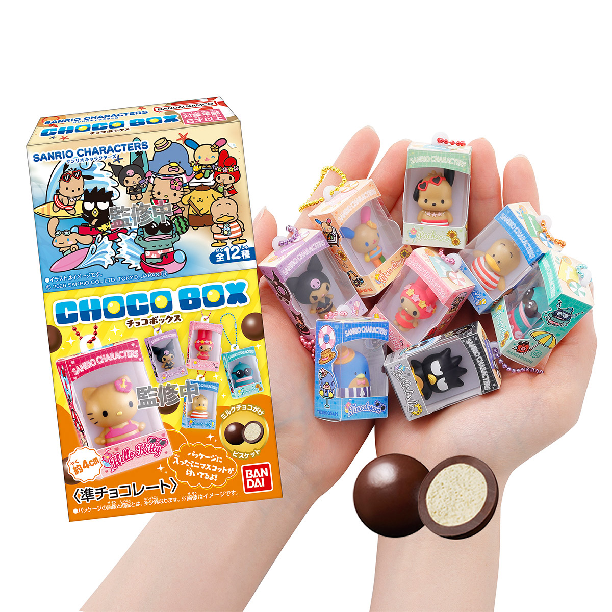 Bandai - SANRIO 包裝吊飾 4 (英文包裝) (BOX OF 12) 