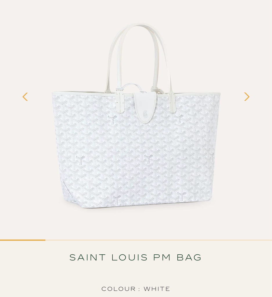 Goyard Saint Louis PM Bag (新款附包夾）