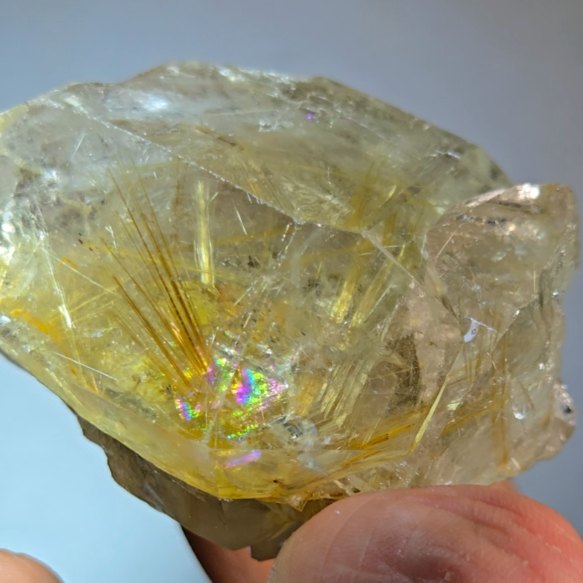 Golden starburst rutiles on black hematite in quartz - RT1429