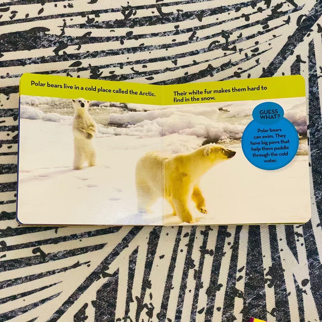 National Geographic Kids Look and Learn 國家地理幼幼探險家 啟蒙百科動物紙板書｜12 books｜點讀版