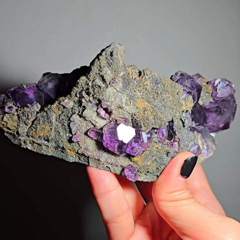 Tanzanite fluorite cluster with big dodecahedral gems - FL359
