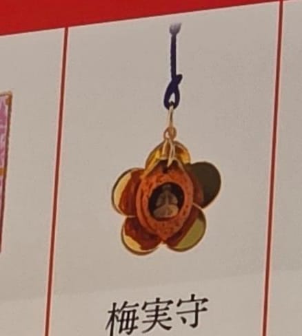 太宰府天滿宮梅實守