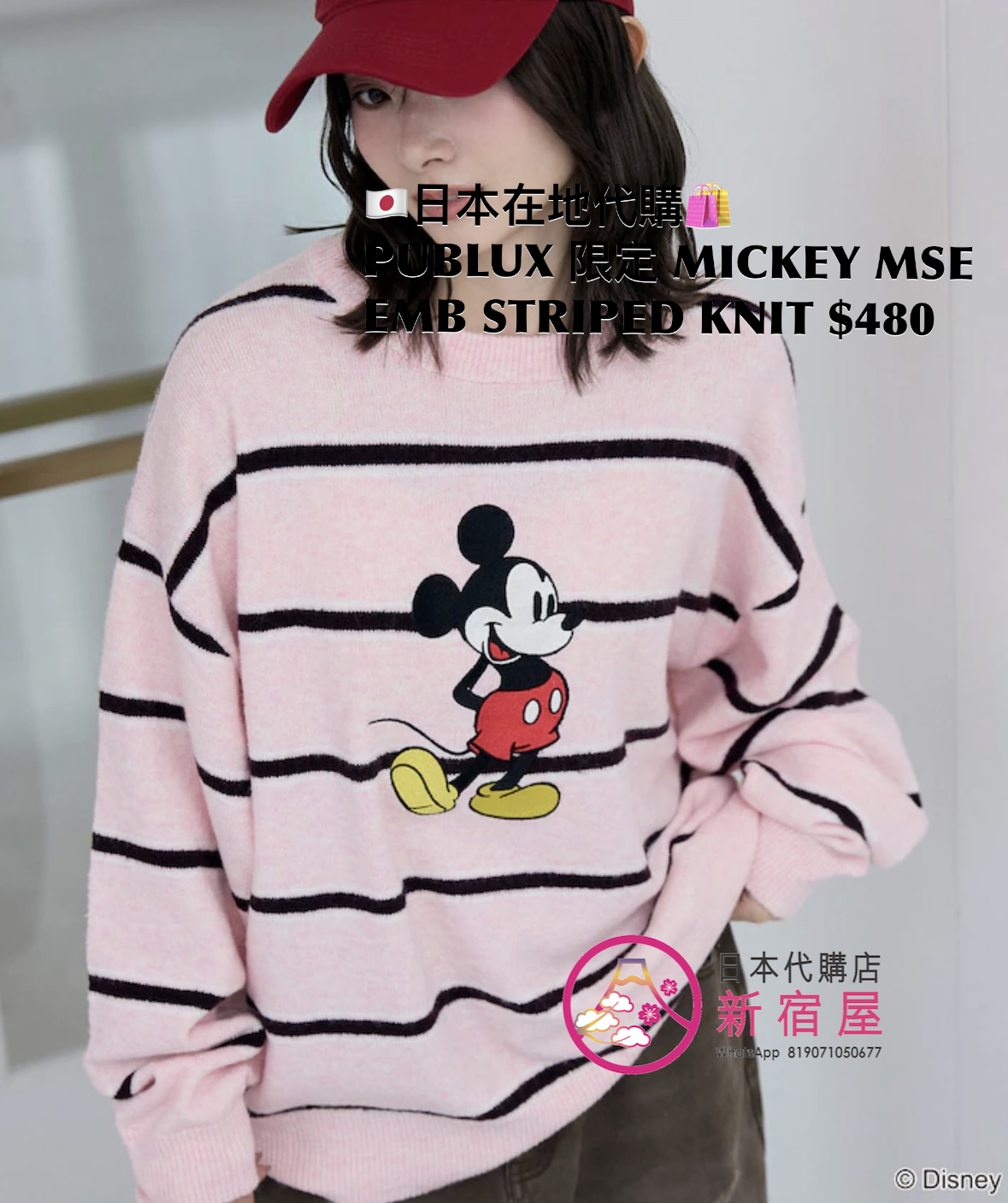 PUBLUX 限定 MICKEY MOUSE EMBROIDERY STRIPED KNIT