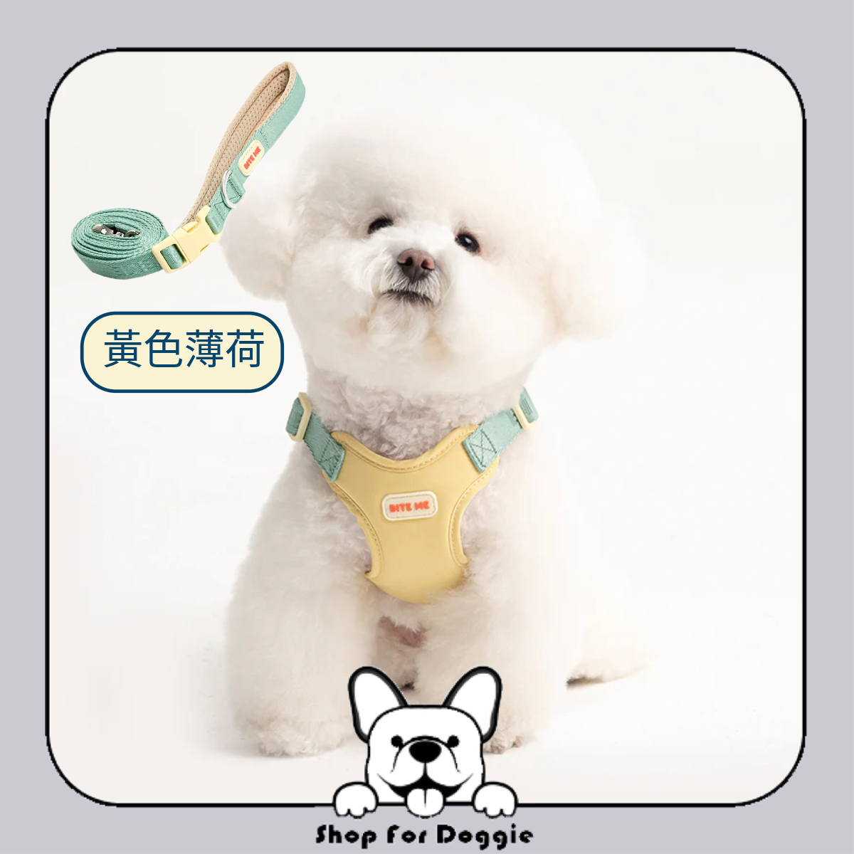 [訂貨3-4星期] 韓國 Bite Me Comfort Harness v2 胸背帶