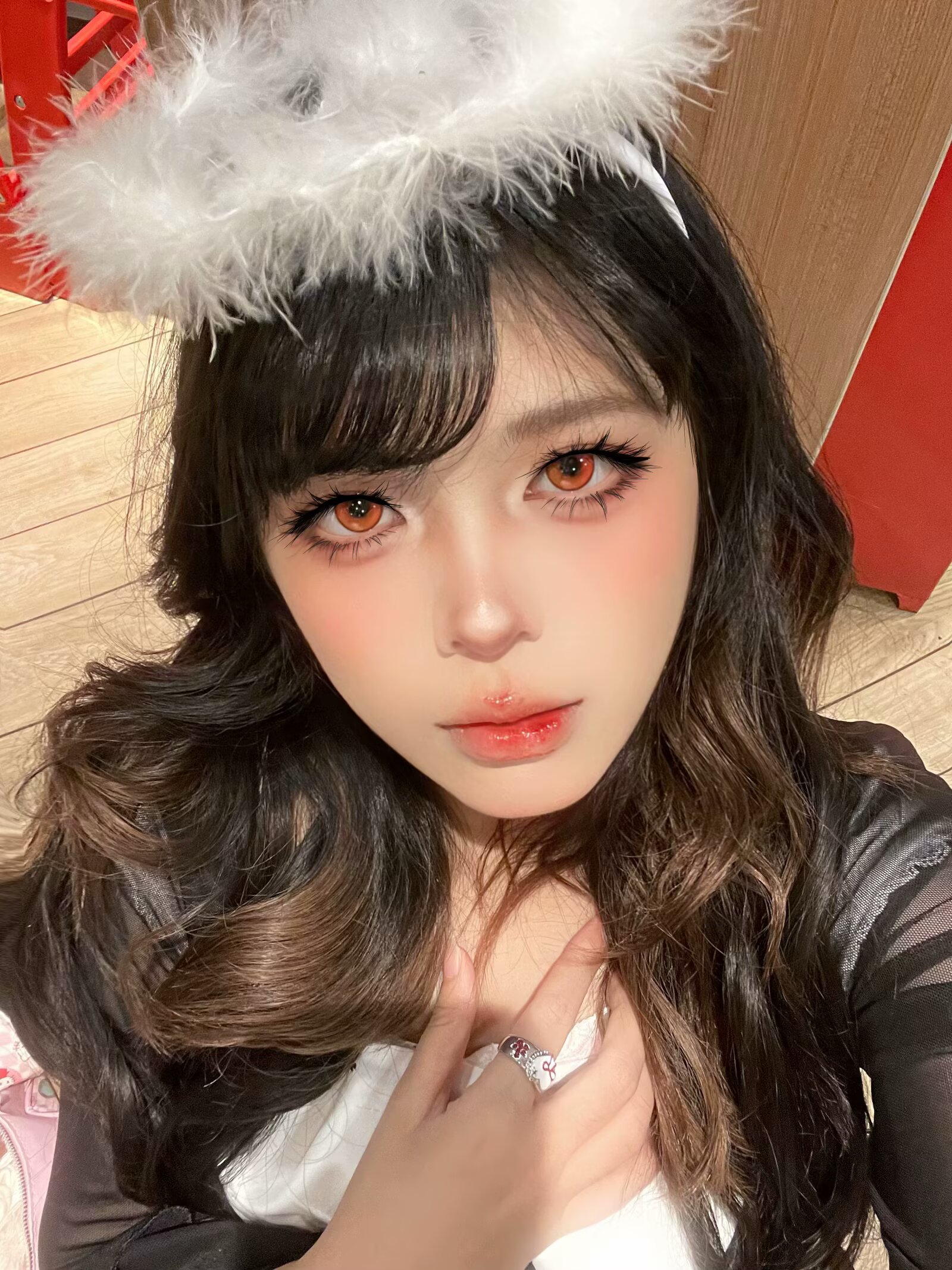 Apricotcon 日拋2片 雙色漸變系列