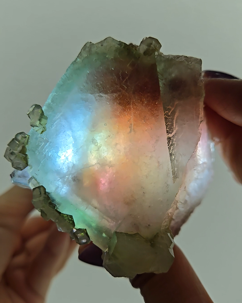 Red phantom fluorite with columnar UV calcite - FL232