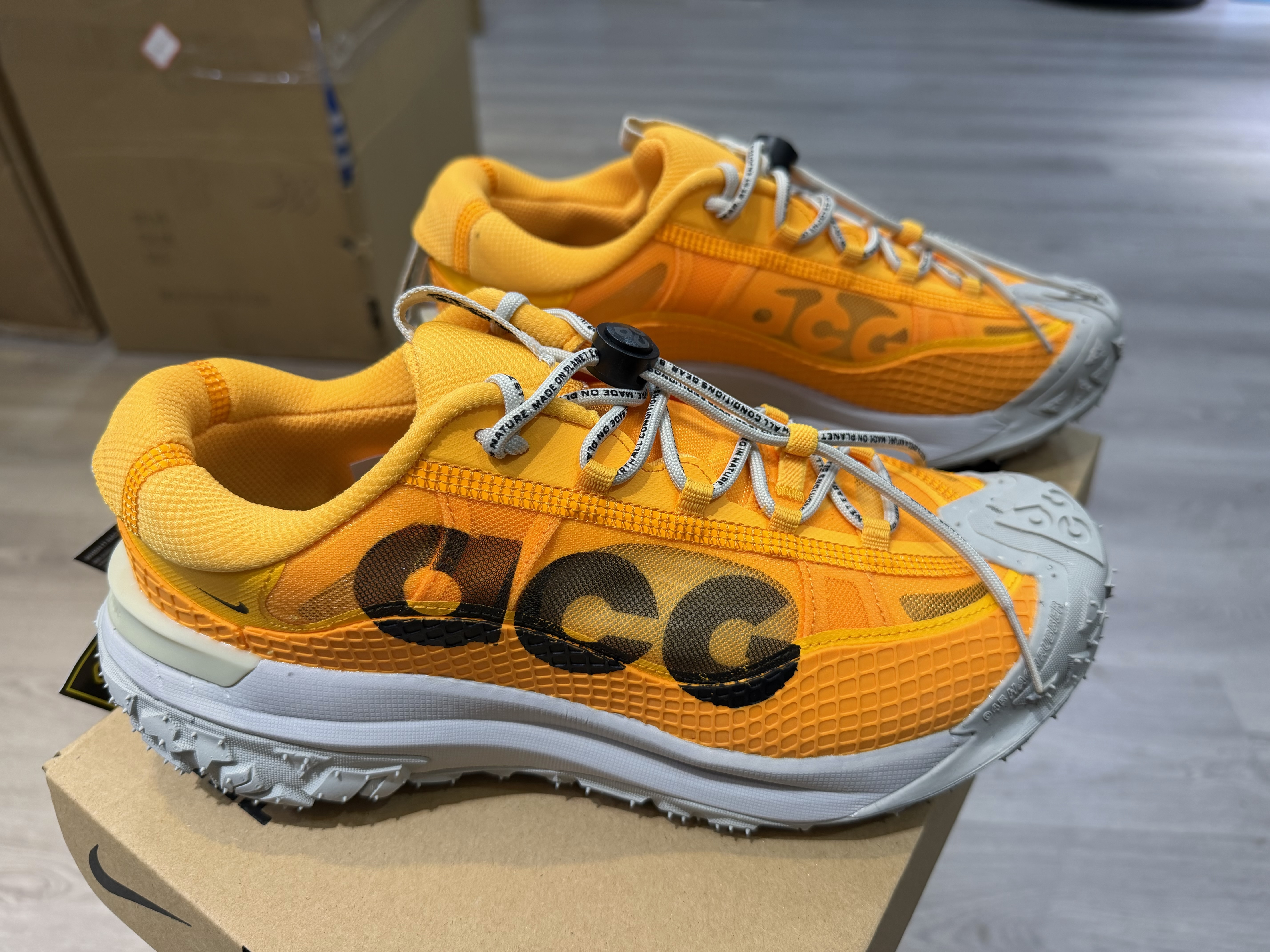 Nike ACG Mountain Fly 2 Low