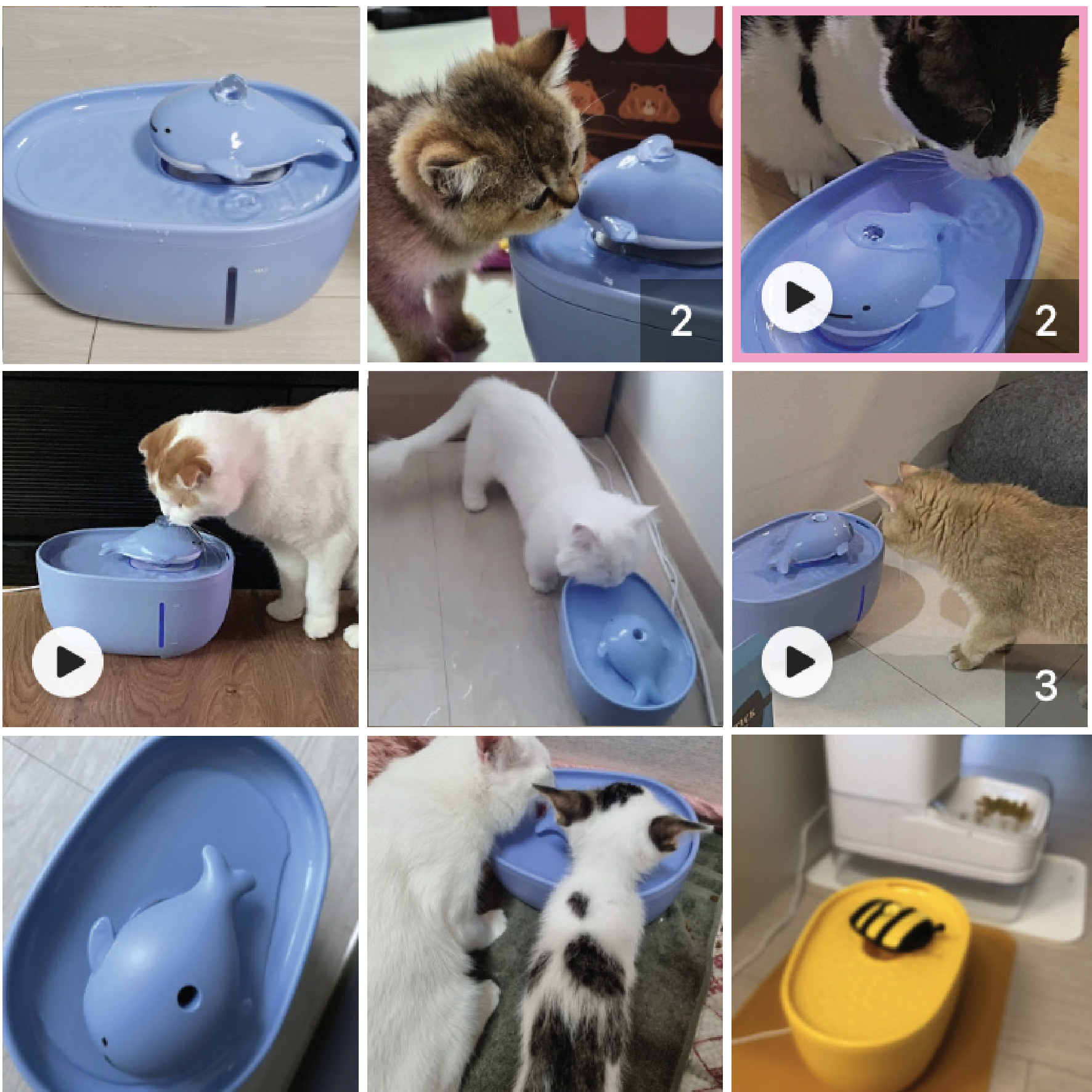 寵物自動循環飲水機