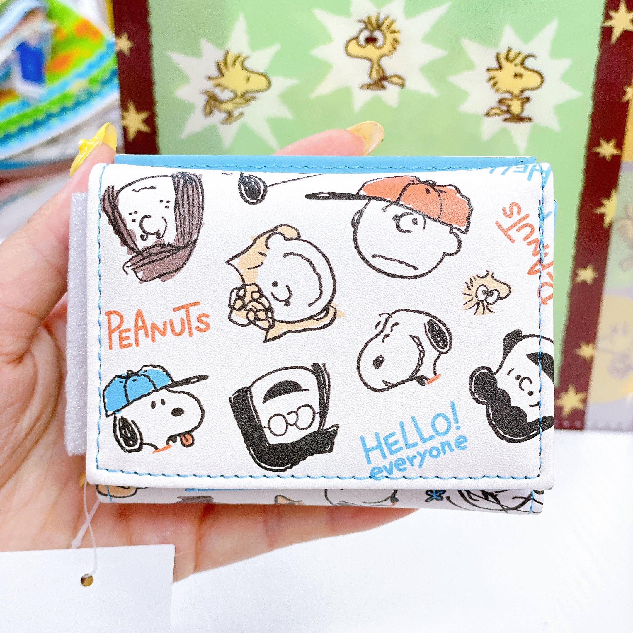 日本直送Snoopy Woodstock 新款文具系列眼鏡盒卡套File拉鏈袋環保袋
