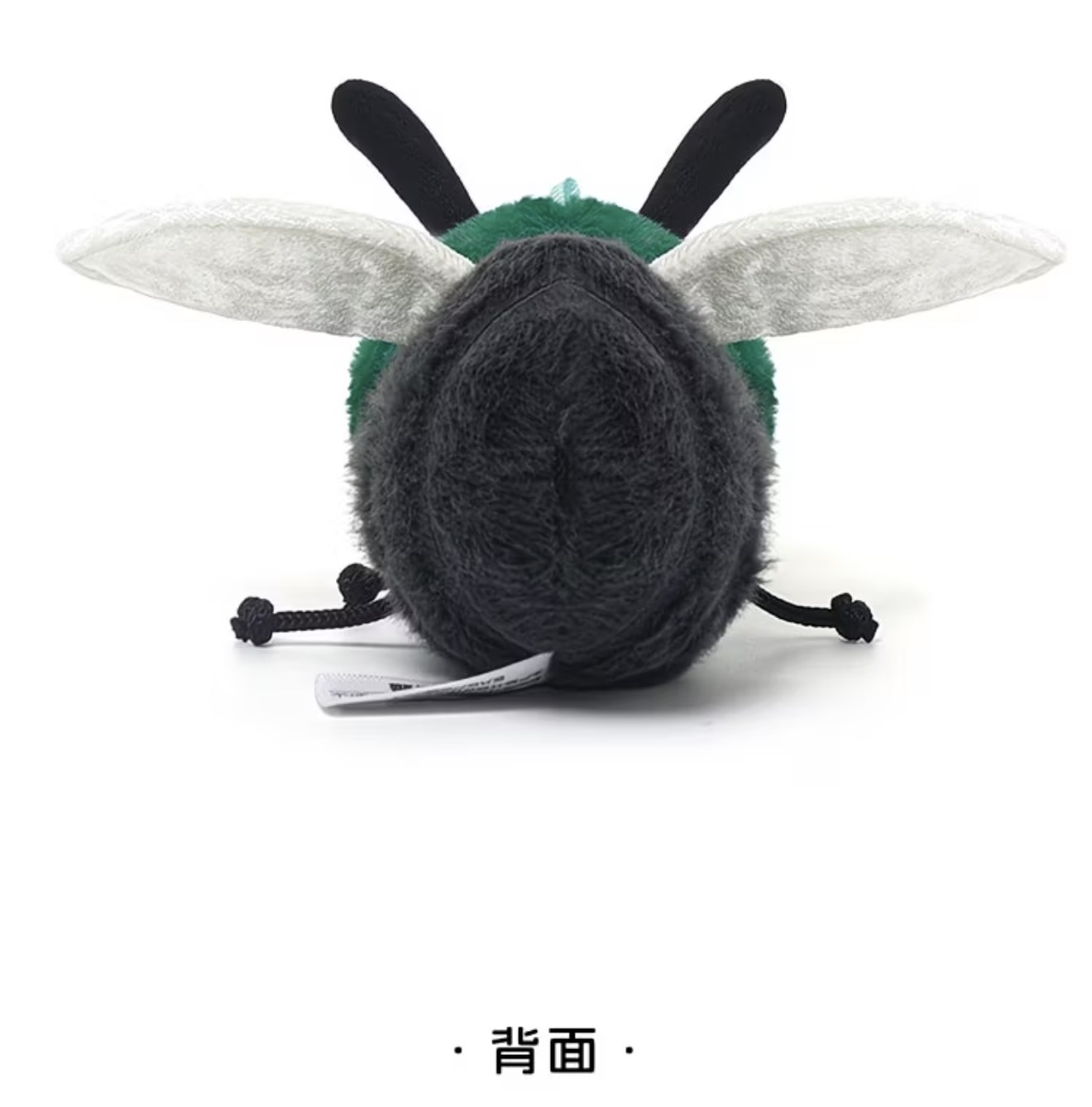 Mung Bean Fly 