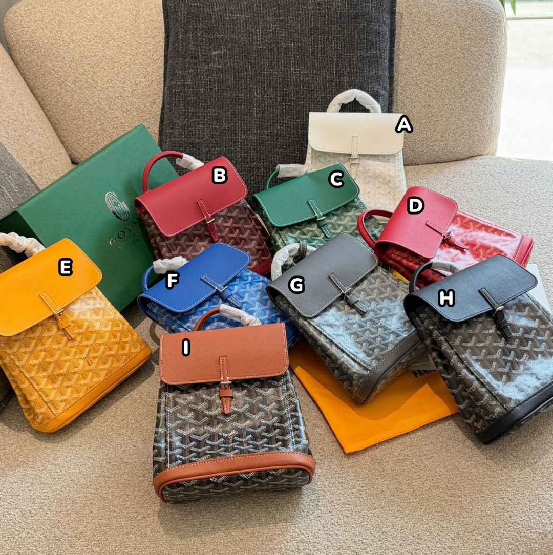 Goyard Alpin mini 雙肩包 🤩🤩🤩