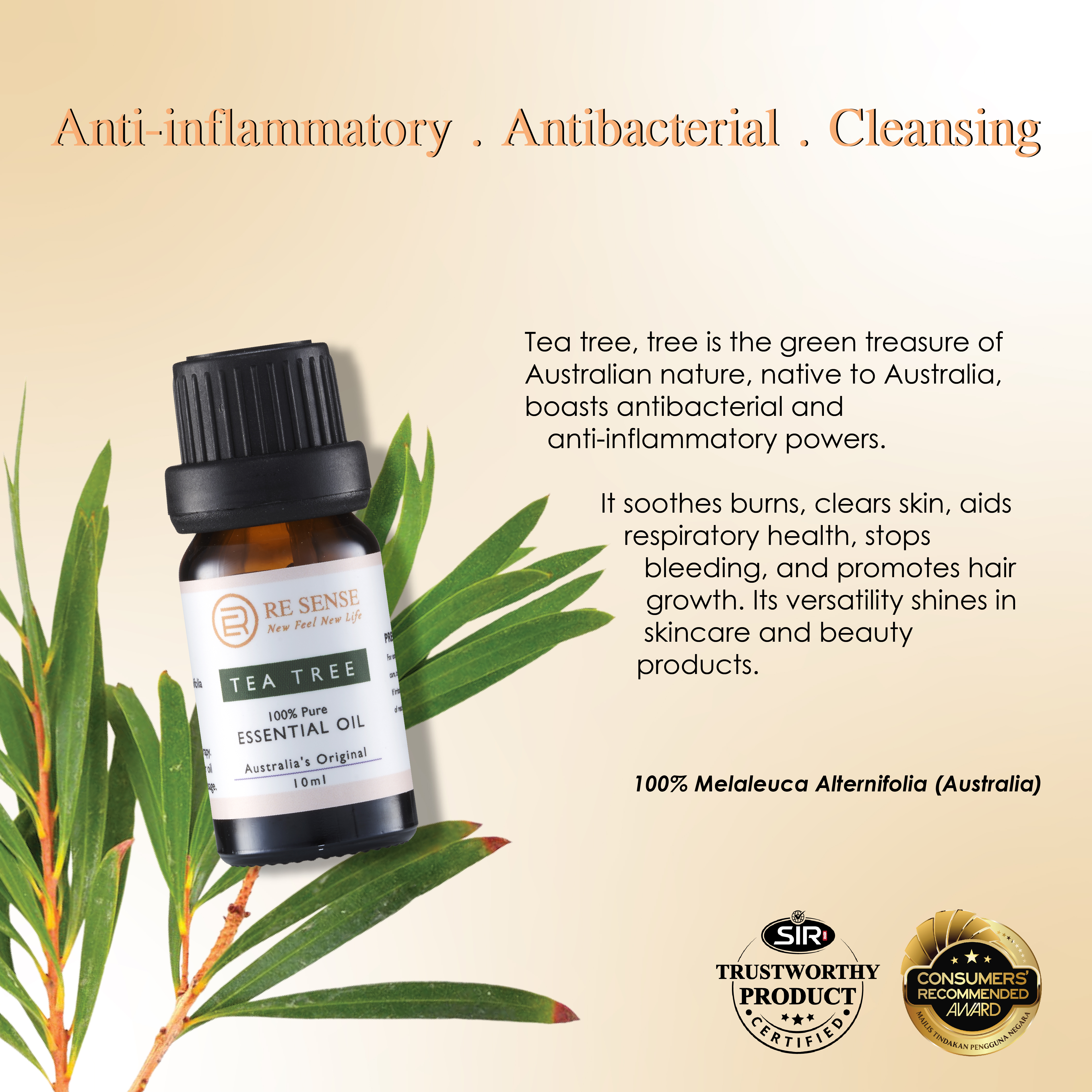 Tea Tree Essential Oil (10ml)