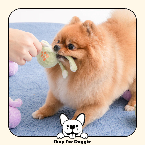 韓國 Bite Me 長手手玩具球