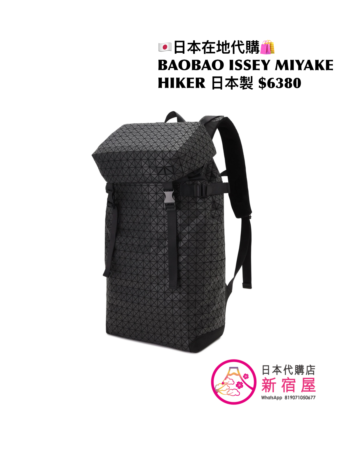 BAOBAO ISSEY MIYAKE HIKER