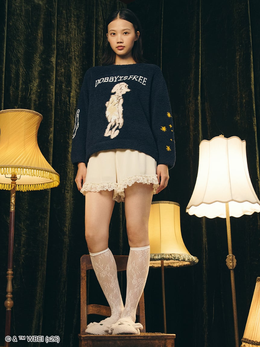 圖案針織毛衣 Motif Knit Pullover｜SNIDEL HOME X 哈利波特 聯名 第5彈 (Harry Potter)【預購】 (26192-P）