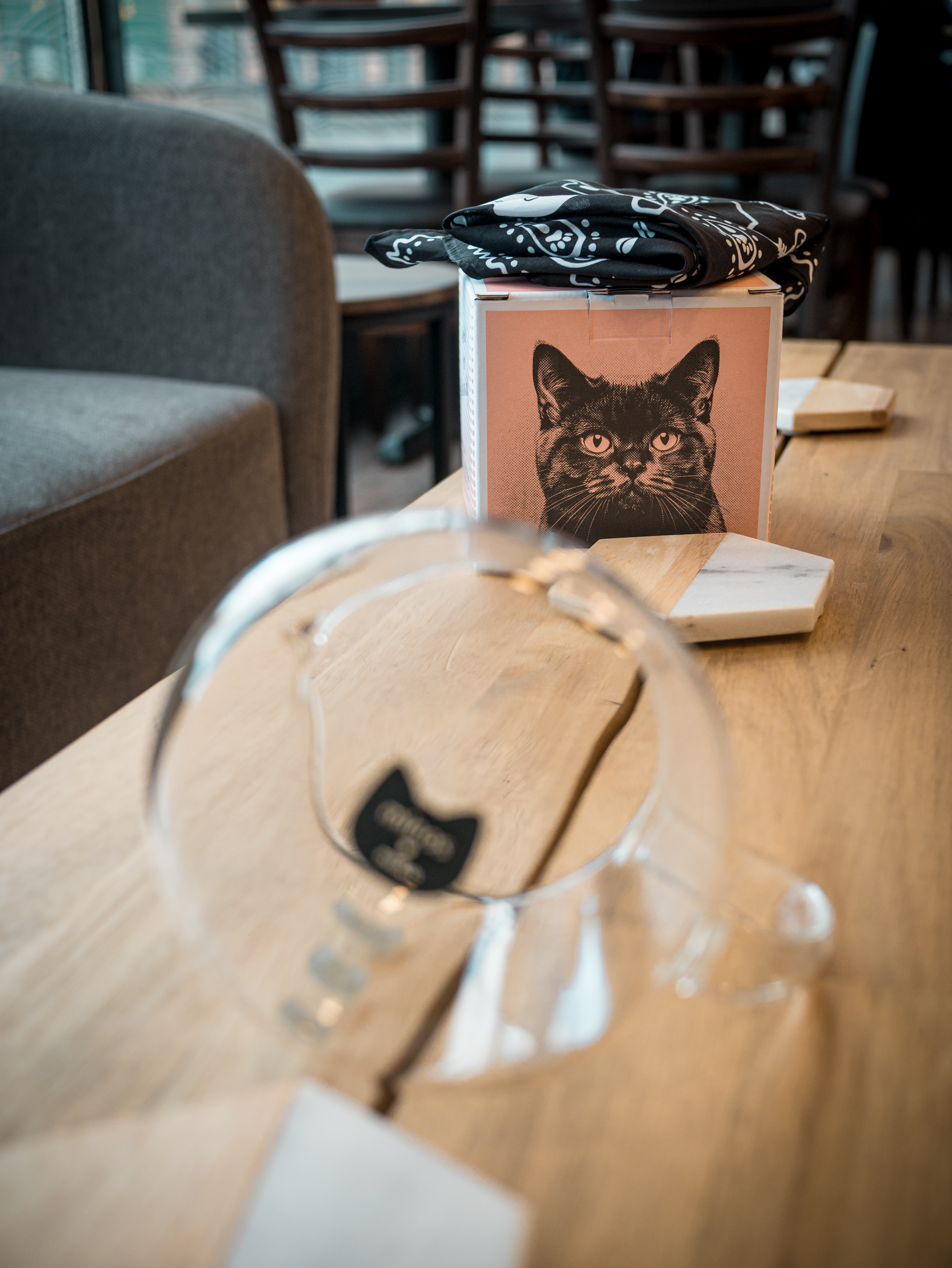 Neko 熱感變色玻璃咖啡壺（附黑色貓巾）｜300ml