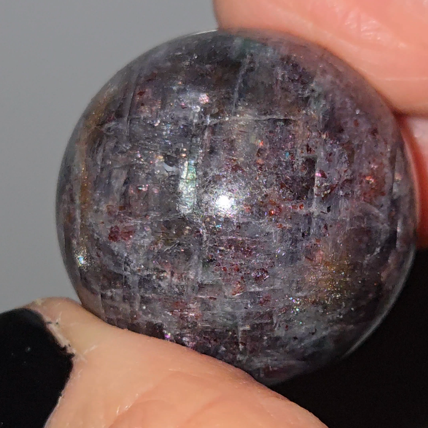 Blood iolite sphere with star flash asterism, rainbows - IL7