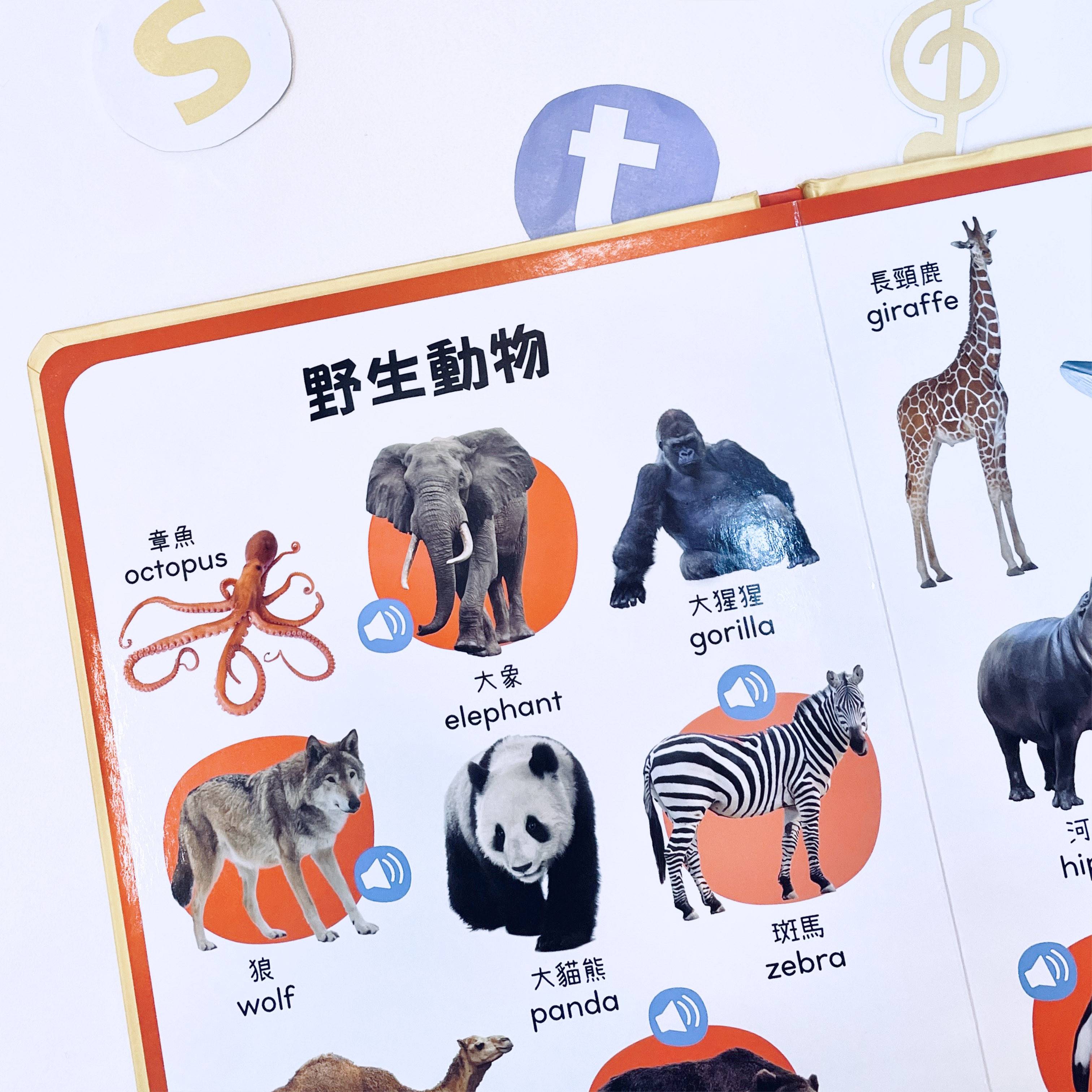 《Listen！》系列超大音效書