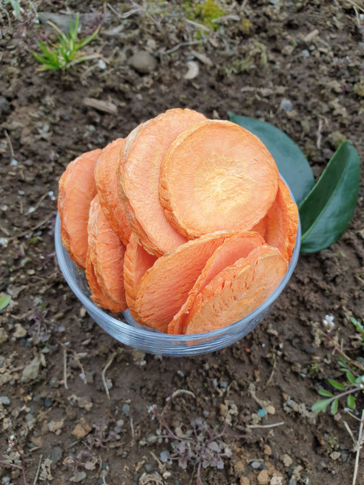 韓國🇰🇷濟州紅蘿蔔乾 30g