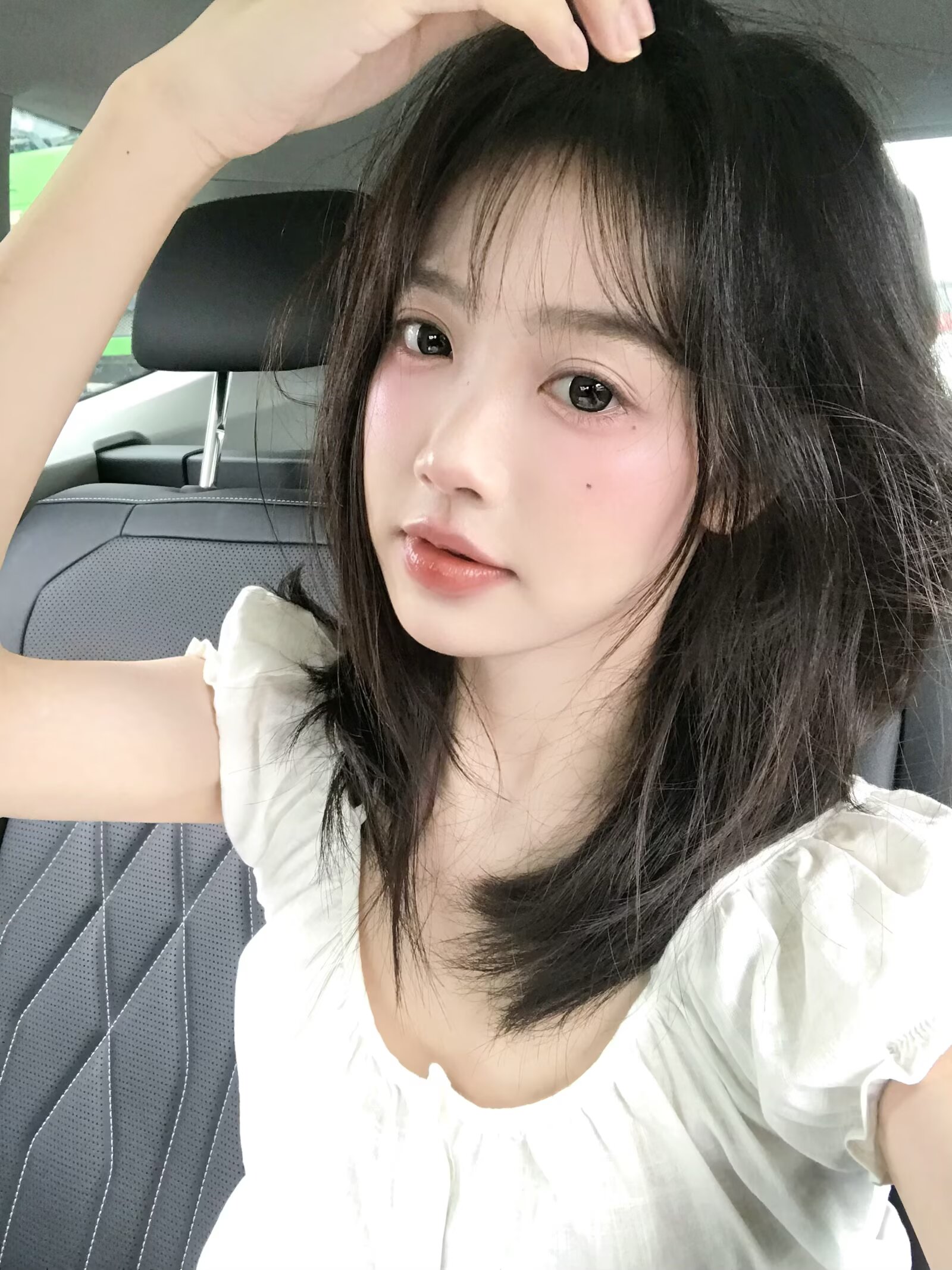 Macycon 月拋 芝士小狗/可愛比熊/萌萌貴賓