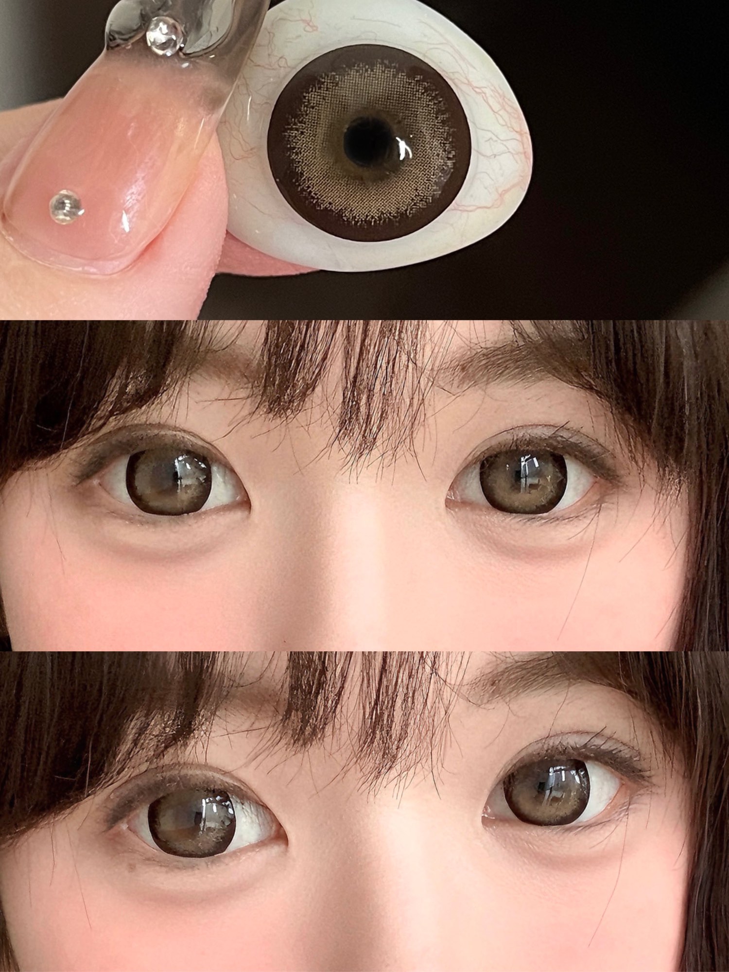 Doragina 日拋 奶乖泰迪