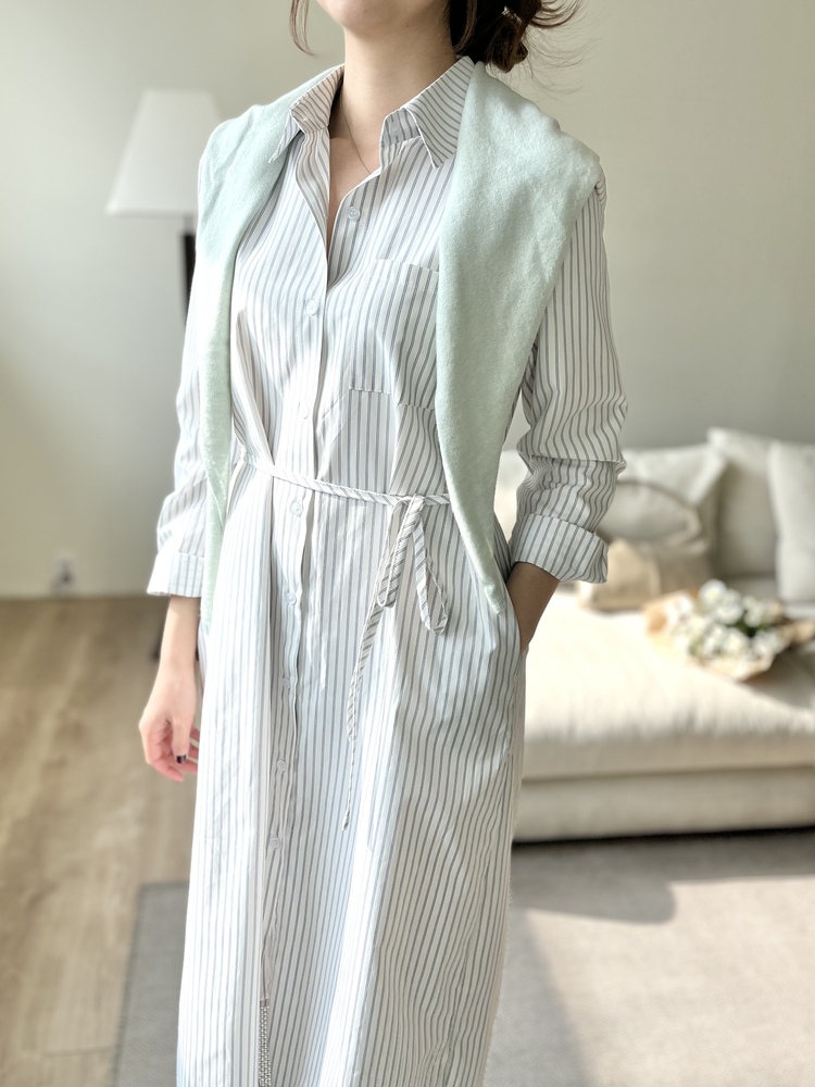 The Striped Shirt Dress