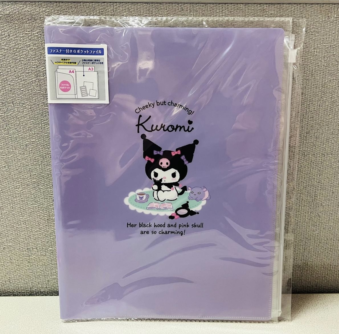 🎌日本直送🎌Sanrio 卡通 文件夾