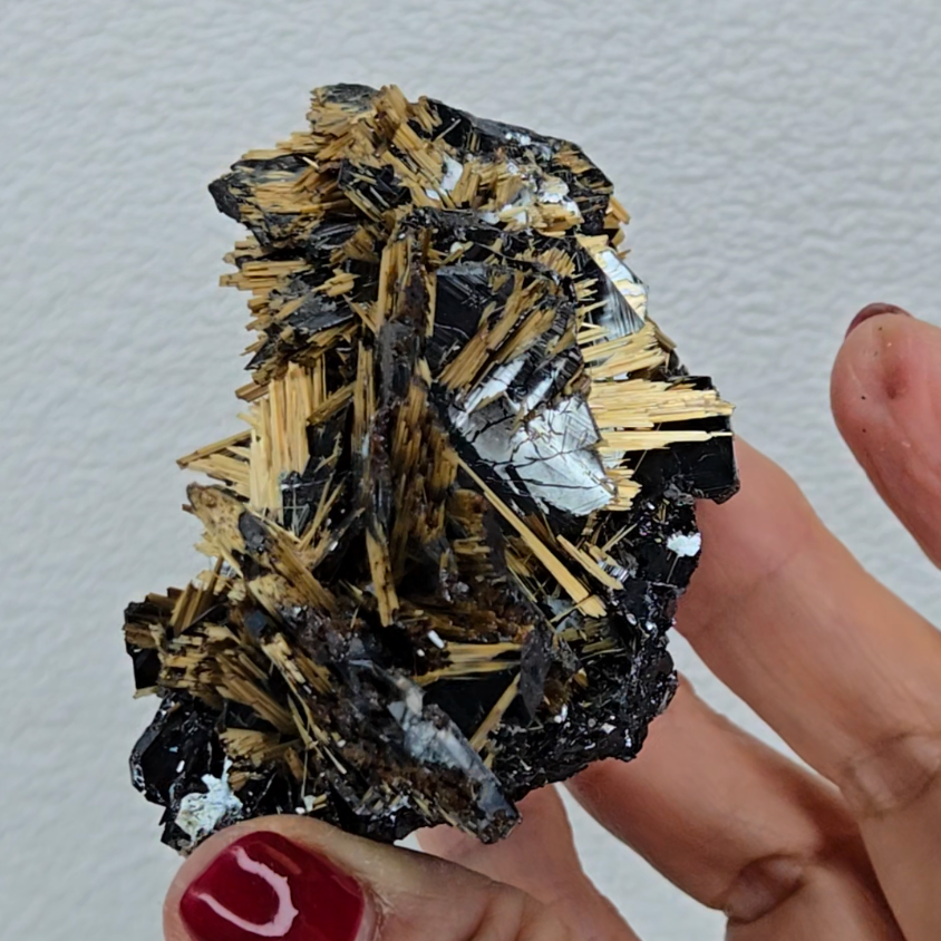 Golden exposed starburst rutiles on black hematite - RT288