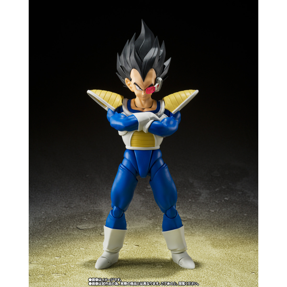 SHF Dragon Ball Z Vegeta 24000