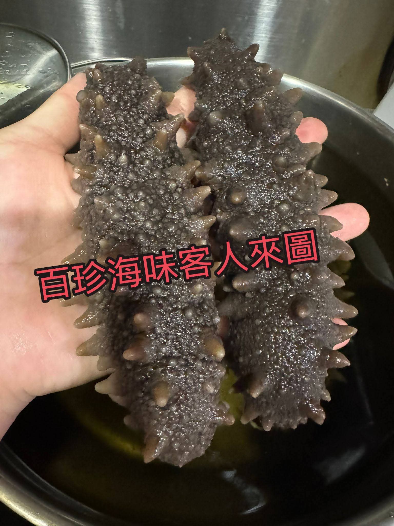 日本野生北海道標津刺參約30條