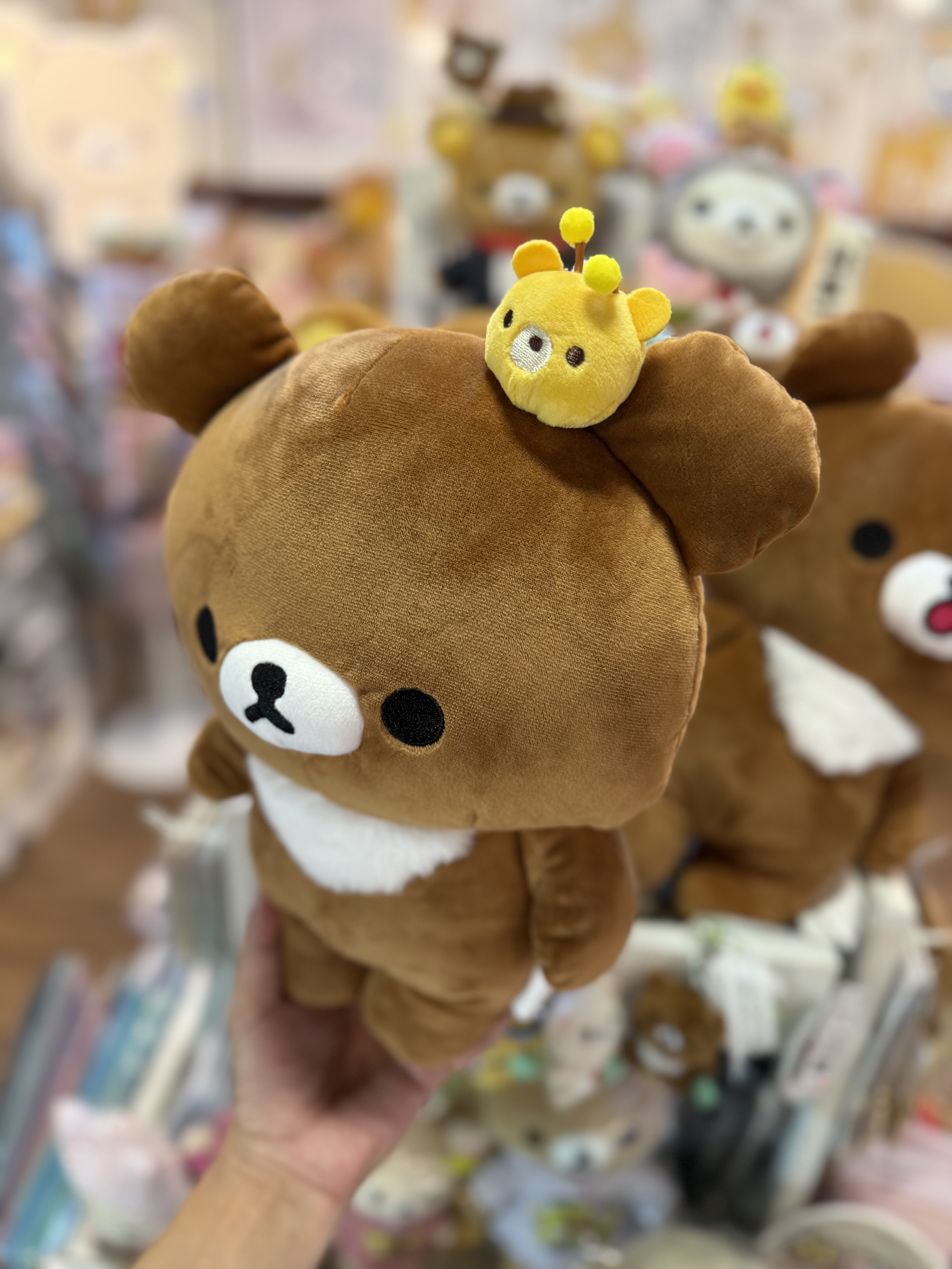《現貨》全新日本限定小熊10週年紀念系列 茶小熊公仔