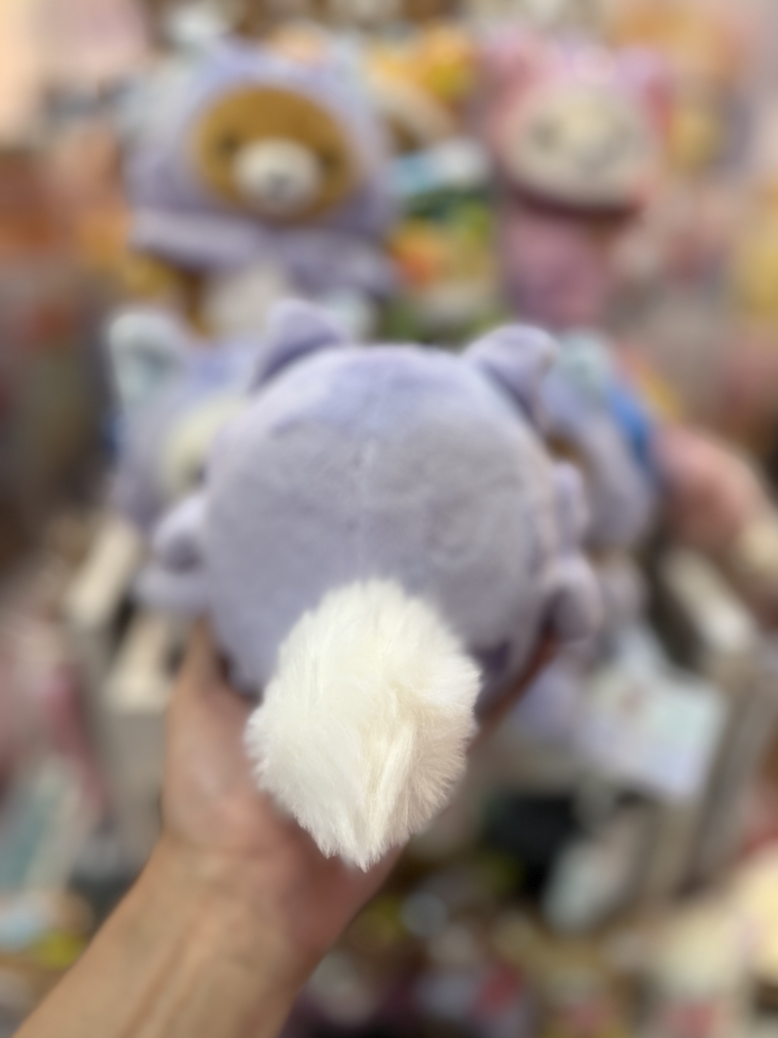 《現貨》全新Rilakkuma瓦瓦貓系列公仔