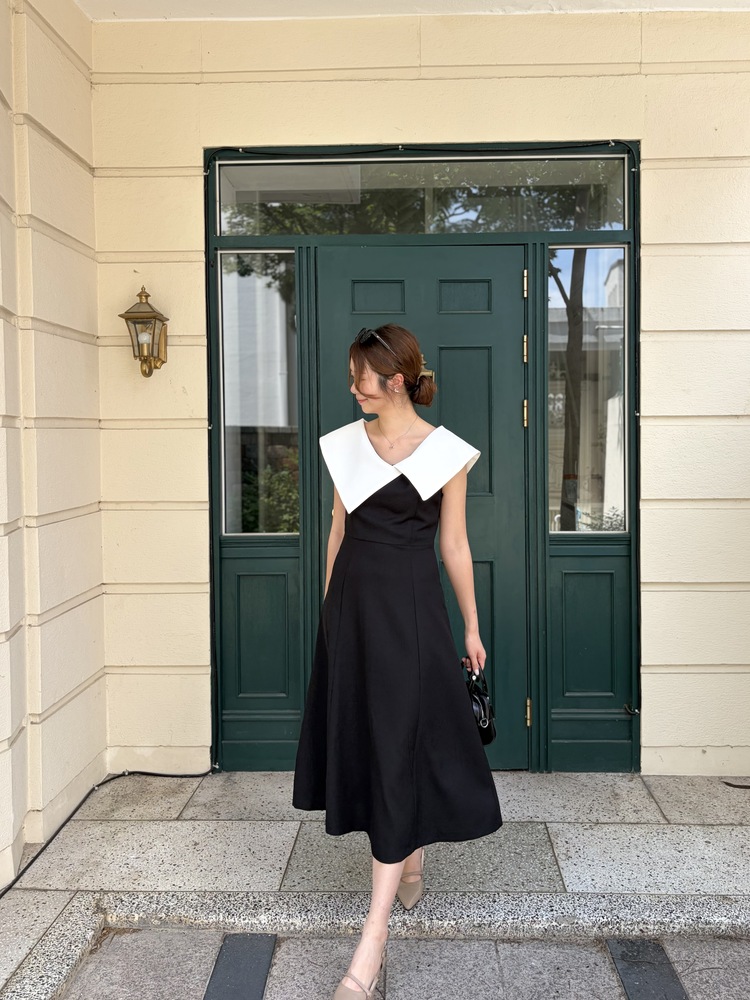Celine Contrast Collar Dress