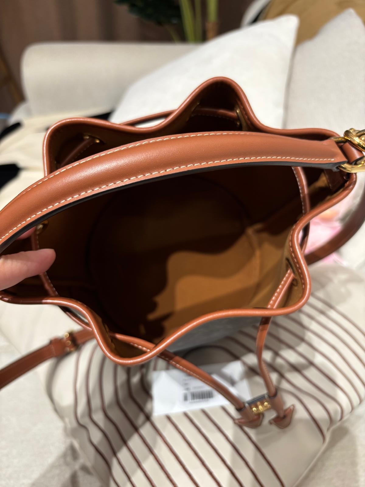 Celine CLARA BAG IN TRIOMPHE CANVAS AND CALFSKIN標誌印花及牛皮革手袋 100%Authentic, 98%new ✅tap ✅booklet ✅dust bag