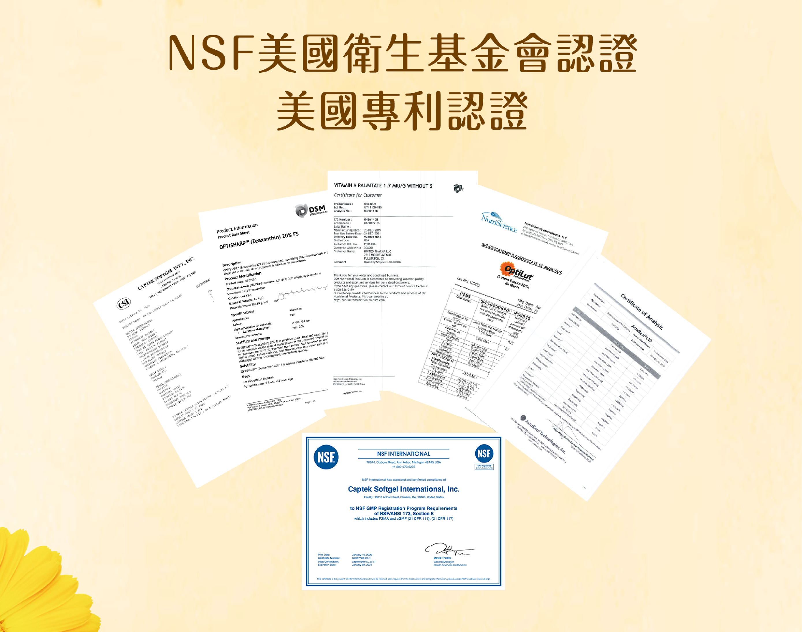 台灣直送 晶視界 30粒 高單位30mg 葉黃素